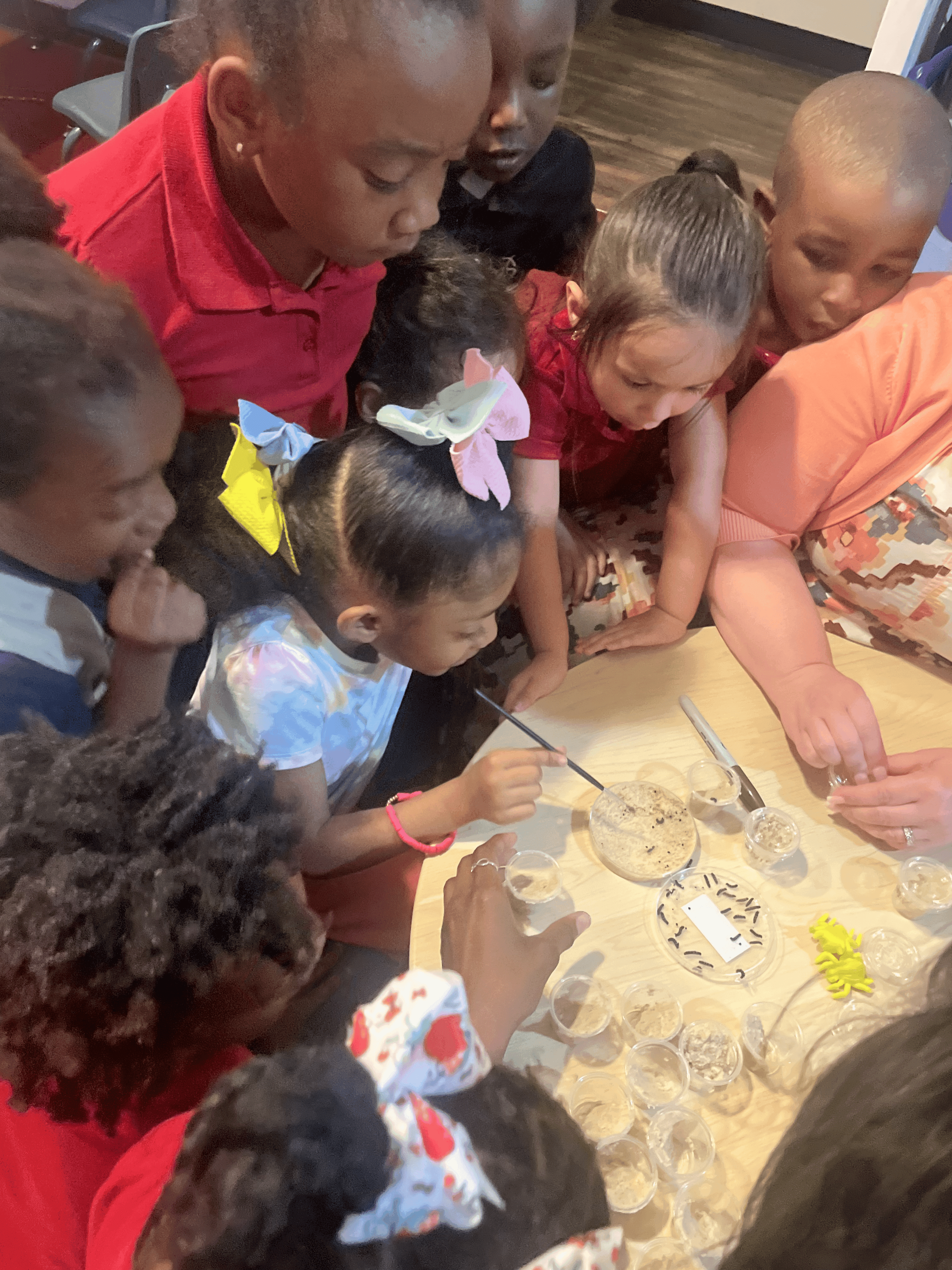 Children exploring together during activity time